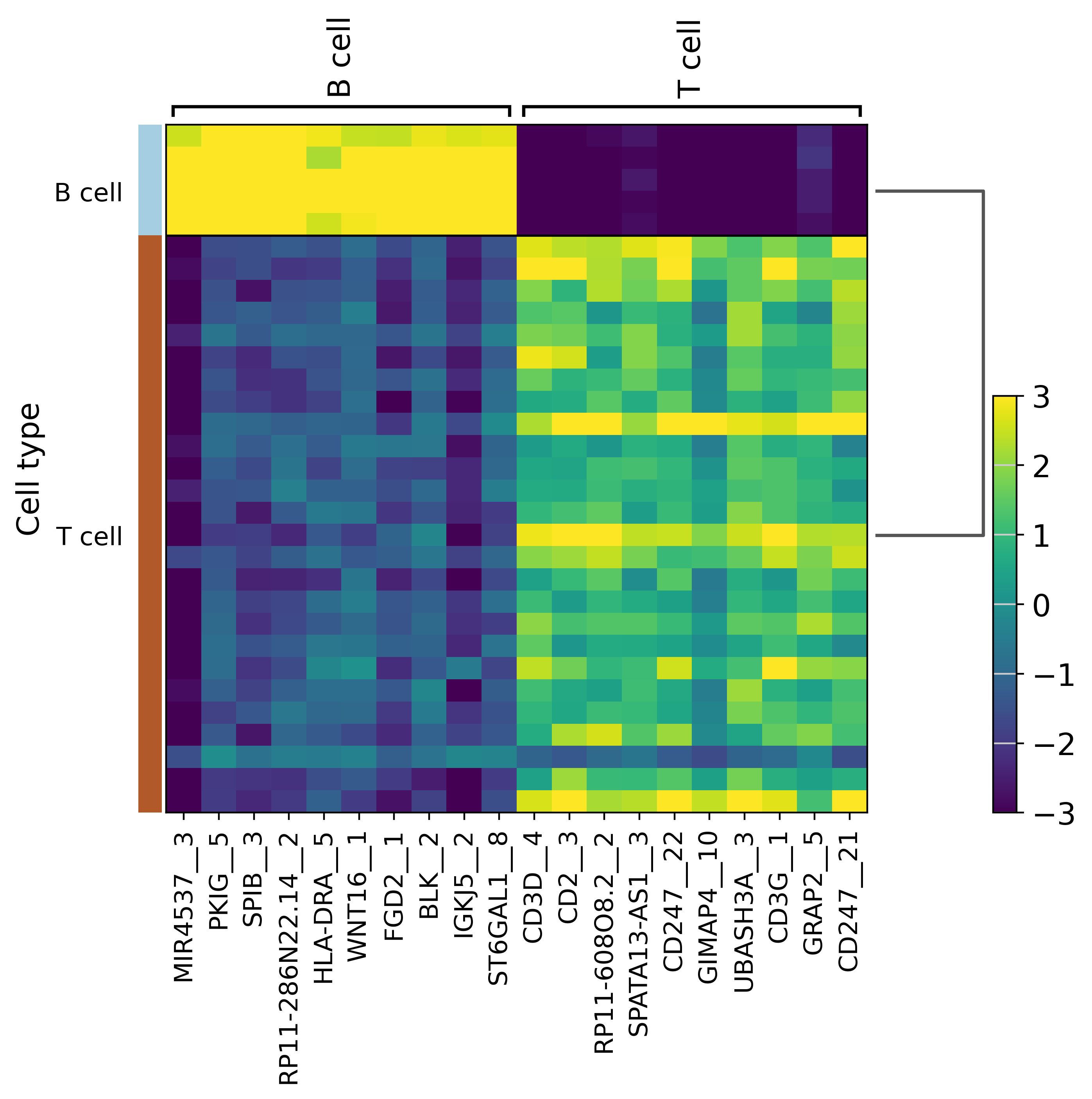 ../_images/examples_H3K4Me3_chip_immune_32_1.png